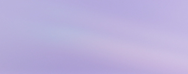 20%* OFF NARS ICONS.